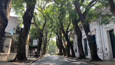 municipio de san isidro, obras publicas, infraestructura, espacio publico, libertador, obras, calles, adoquines