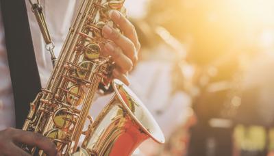 municipio de san isidro, tercera edad, adultos mayores, puerto libre, taller, online, juegos, memotest, memoria, ejercicio, ejercicios, clases, virtual