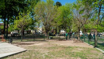 CANIL EN VILLA ADELINA