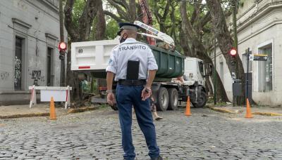 municipio de san isidro, infraestructura, espacio publico, casco historico, renovacion, tipas, adoquines, calles, desvio, cortes