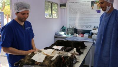 PUESTO MÓVIL DE ZOONOSIS SAN ISIDRO