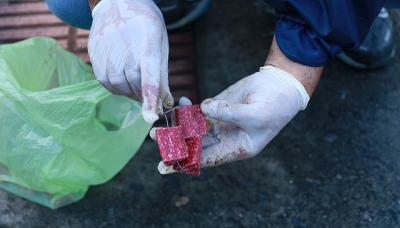 OPERATIVOS DE DESRATIZACIÓN, MUNICIPIO DE SAN ISIDRO