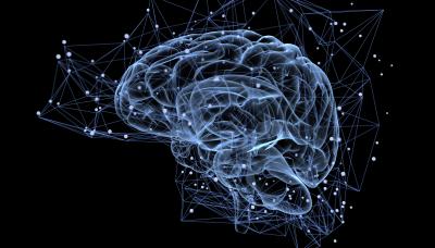 MULTIESTIMULACION MEMORIA CURSO CULTURA SAN ISIDRO municipio de san isidro, cultura, cursos, talleres, curso, taller, seminario, inscripcion, online, virtual