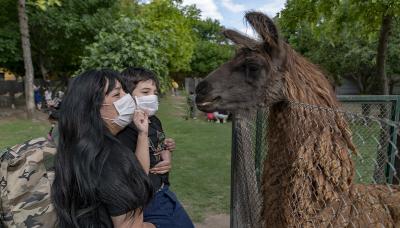 municipio de san isidro, chacra educativa, huerta, animales, granja, visita, apertura