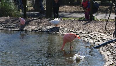 CHACRA SAN ISIDRO LABRADOR, MUNICIPIO DE SAN ISIDRO