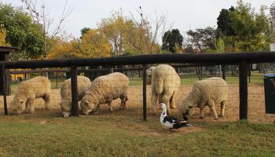 LA CHACRA SAN ISIDRO LABRADOR