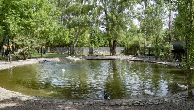 municipio de san isidro, chacra educativa, huerta, animales, granja, visita, apertura