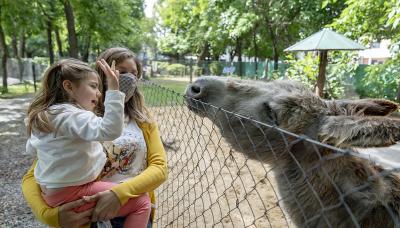municipio de san isidro, chacra educativa, huerta, animales, granja, visita, apertura