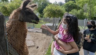 municipio de san isidro, chacra educativa, huerta, animales, granja, visita, apertura