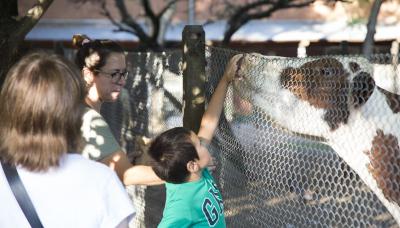 CHACRA SAN ISIDRO LABRADOR