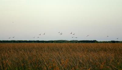 municipio de san isidro, medio ambiente, dia de, sustentabilidad, sustentable, espacio publico, humedales, isla, delta