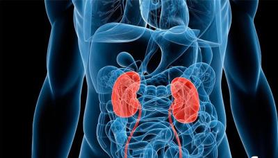 DÍA MUNDIAL DEL RIÑÓN, municipio de san isidro