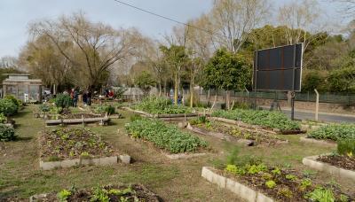 DONACIÓN DE COMPOSTAJE 