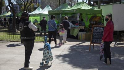 municipio de san isidro, mercado en tu barrio, protocolo, precios bajos, producción, mercado, frutas, verduras