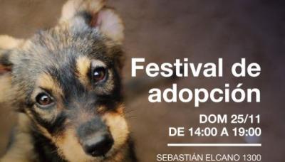 festival de adopción, Municipio de San Isidro