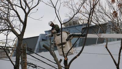 CAMPAÑA ANUAL DE PODA, SAN ISIDRO