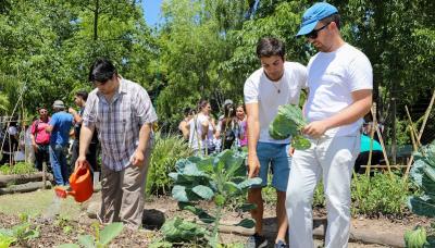 PROGRAMA MUNICIPAL DE HUERTAS ORGÁNICAS, MUNICIPIO DE SAN ISIDRO