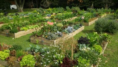 HUERTA AGROECOLÓGICA CURSO SAN ISIDRO CULTURA municipìo de san isidro, cultura, cursos, talleres, taller, curso, seminario, seminarios, capacitacion