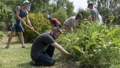 municipio de san isidro, integracion comunitaria, huerta agroecologica, semillas, plantas