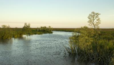 NUEVA ISLA SAN ISIDRO municipio de san isidro, ecologia, sustentabilidad, isla, islas, delta, rio, costa