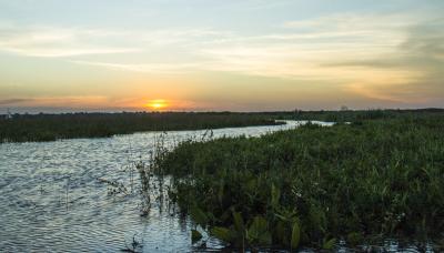 municipio de san isidro, ecologia, sustentabilidad, isla, islas, delta, rio, costa