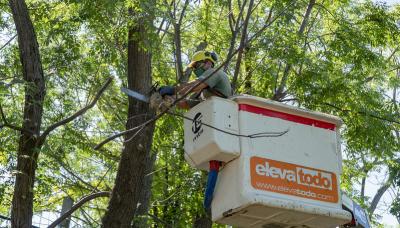 municipio de san isidro, espacio publico, luminarias, arboles, naturaleza, poda