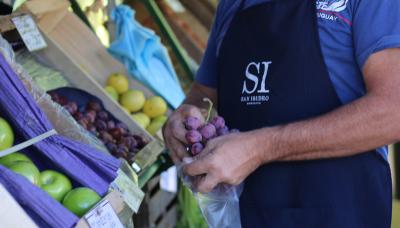 municipio de san isidro, mercado en tu barrio, protocolo, precios bajos, producción, mercado, frutas, verduras