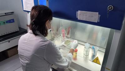 municipio de san isidro, materno infantil, hospital, bioquimica, salud, niños, niñas, chicos, chicas, virus, bacterias, bacteria, diagnostico, diganosis, muestras, laboratorio