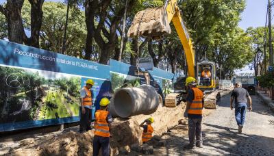 municipio de san isidro, plaza mitre, espacio publico, plaza, casco historico, arboles, arbol