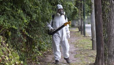 municipio de san isidro, dengue, fumigacion, espacio publico, mosquito, enfermedad, vectores, calor, verano