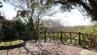 Paseo El Tala