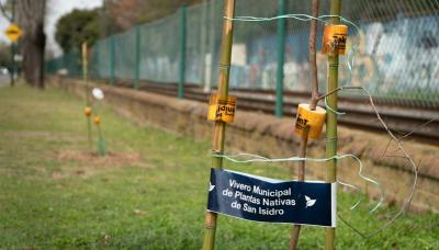 Plantación de árboles y arbustos nativos en corredor ecológico