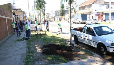 Plantación de árboles en Sarratea, Municipio de San Isidro