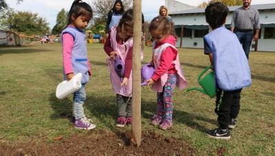 PLANTACIÓN DE ÁRBOLES, MUNICIPIO DE SAN ISIDRO