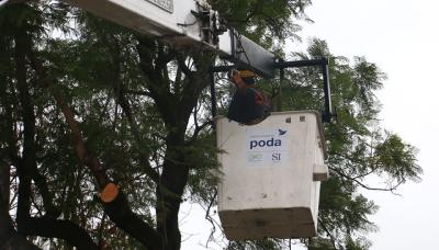 PODA, MUNICIPIO DE SAN ISIDRO