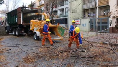 PODA SUSTENTABLE, MUNICIPIO DE SAN ISIDRO