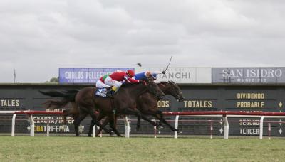 municipio de san isidro, turf, caballos, hipodromo de san isidro, carrera, carreras, caballo