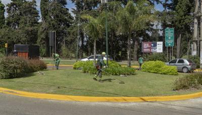 municipio de san isidro, espacio publico, rotonda, mantenimiento, renovacion, pasto, jardin, plantas, cesped, vereda