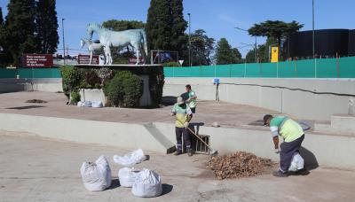 TAREAS DE MANTENIMIENTO EN LA ROTONDA DE AV. MÁRQUEZ Y FLEMING 