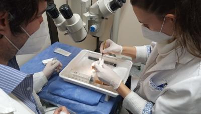 NUEVO EQUIPO SIMULADOR DE CIRUGÍAS OFTALMOLÓGICAS  