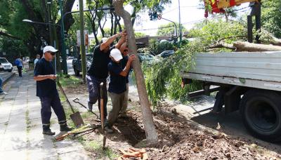 tipas san isidro