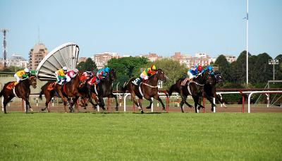 TURF SAN ISIDRO municipio de san isidro, turf, caballos, hipodromo de san isidro, carrera, carreras, caballo