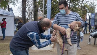 municipio de san isidro, zoonosis, mascotas mas felices, perros, gatos, desparasitacion, vacunacion, antirrabica, rabia, gratis, gustavo posse