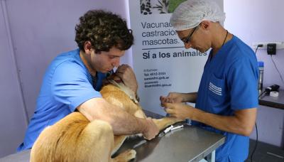 ZOONOSIS, MUNICIPIO DE SAN ISIDRO