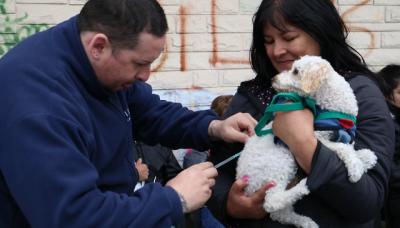 PUESTOS MÓVILES DE , SAN ISIDRO