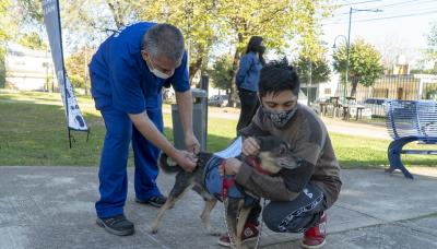 MASCOTAS MAS FELICES ZOONOSIS SAN ISIDRO municipio de san isidro, zoonosis, castracion, mascotas, mascota, perro, gato, castrar, turnos, online