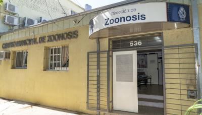 municipio de san isidro, zoonosis, castracion, mascotas, mascota, perro, gato, castrar, turnos, online