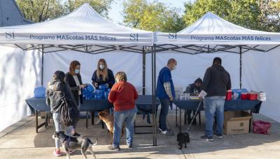 municipio de san isidro, zoonosis, castracion, mascotas, mascota, perro, gato, castrar, turnos, online