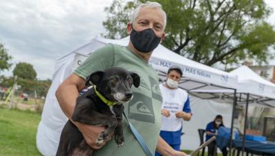 municipio de san isidro, zoonosis, castracion, mascotas, mascota, perro, gato, castrar, turnos, online