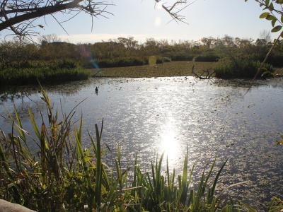 RIBERA NORTE RIBERA NORTE, MUNICIPIO DE SAN ISIDRO